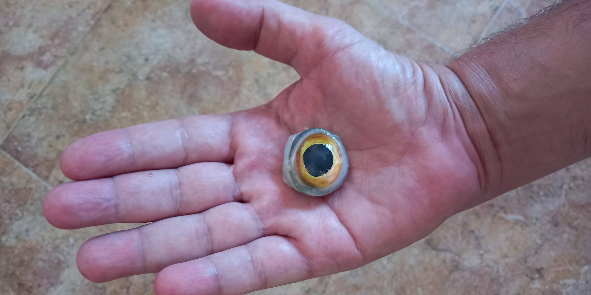 El ojo en la mano