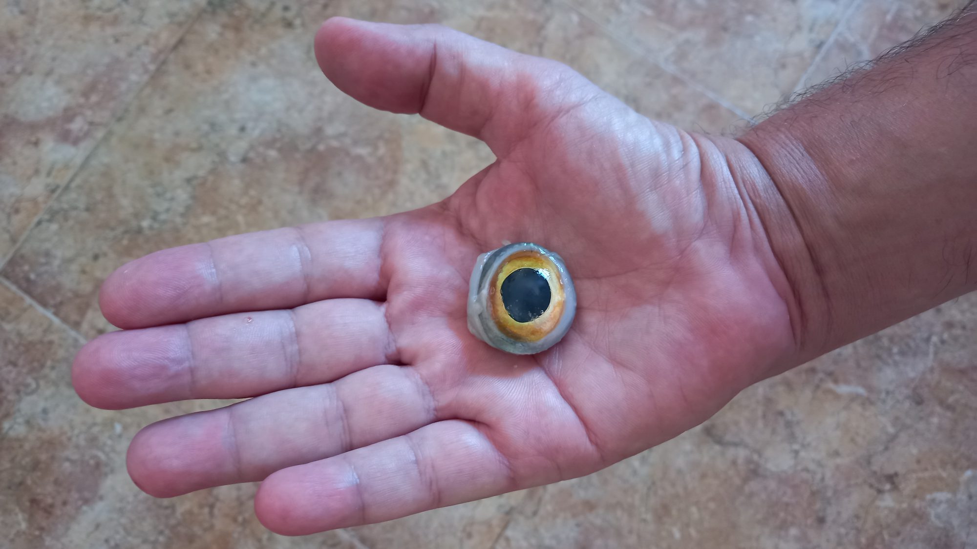 El ojo en la mano
